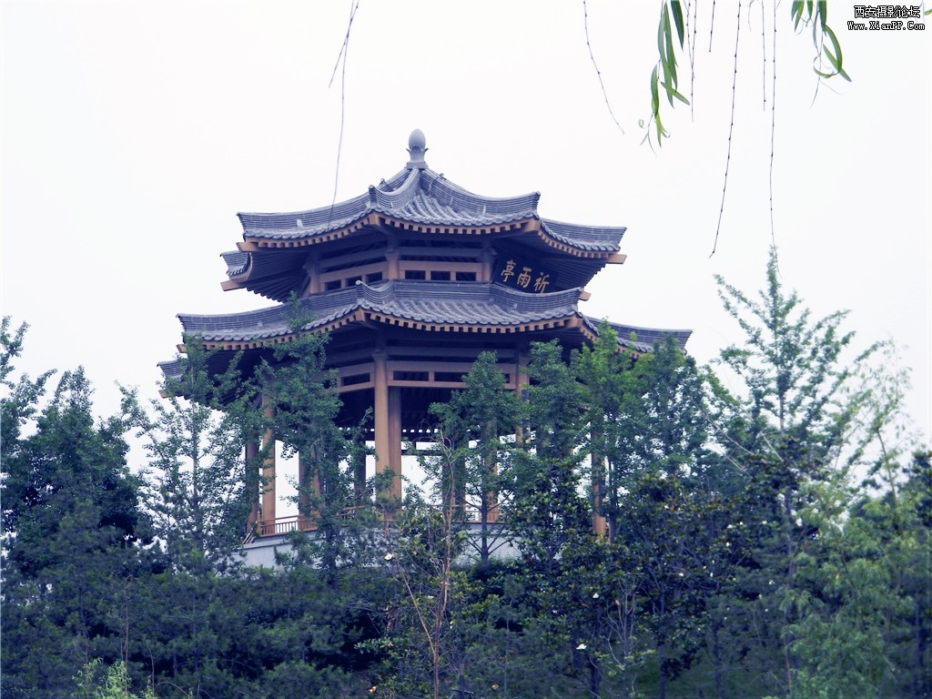 修改8.jpg