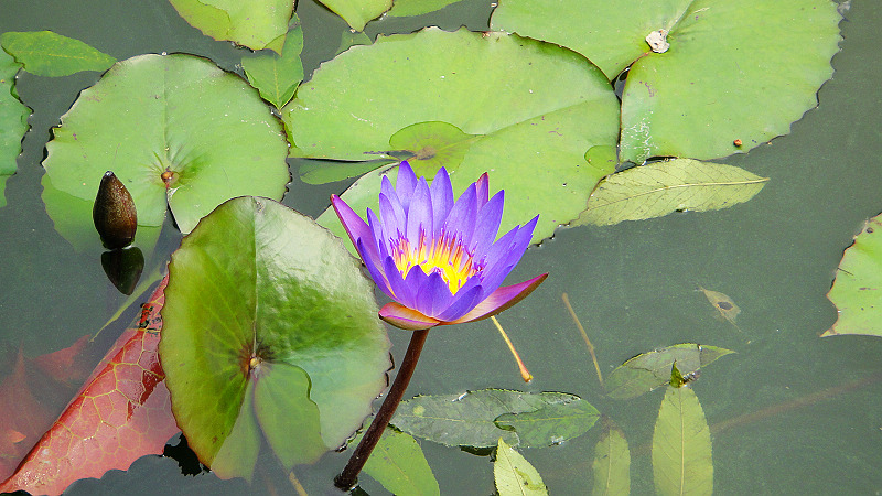 DSC06508.jpg
