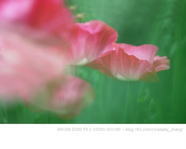 p_large_AP1R_3a3700005f3d2d13.jpg