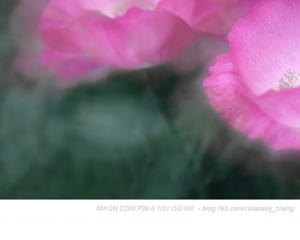 p_large_9Kjf_746f000025b62d0d.jpg