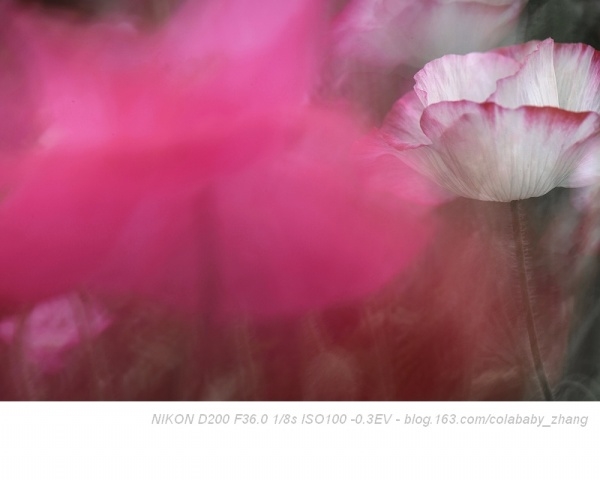p_large_LTfY_3a3700005f382d13.jpg