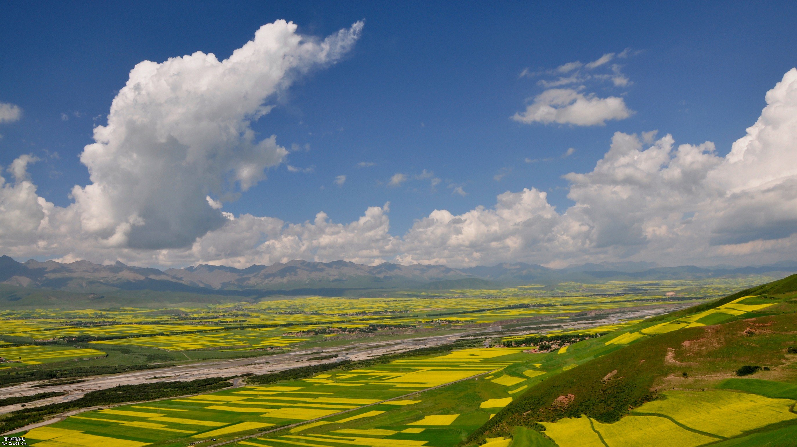 _DSC3316_conew1.jpg