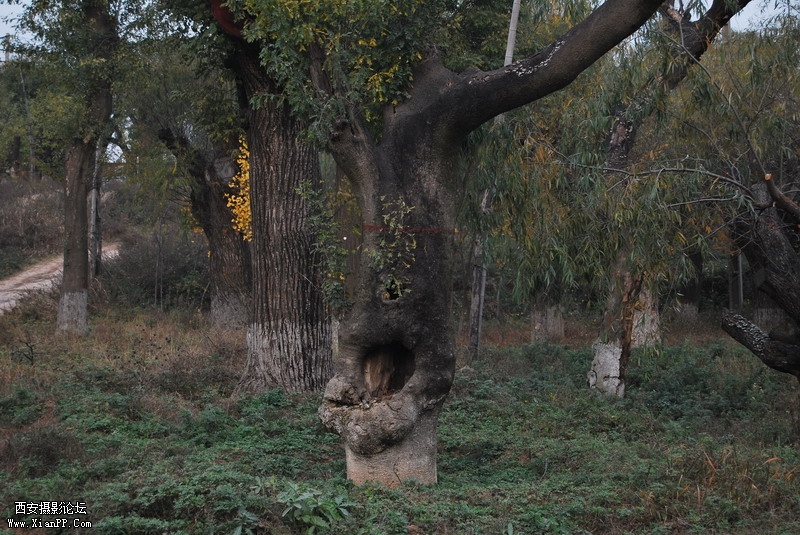 DSC_0014.jpg