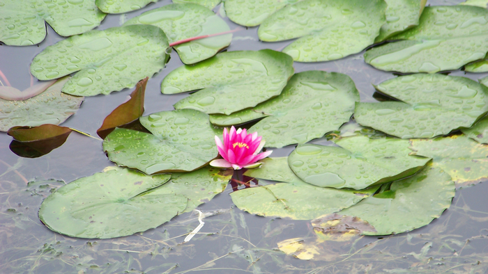 KODAK Z812 IS ZOOM DIGITAL CAMERA f/4.8 1/80秒 ISO64