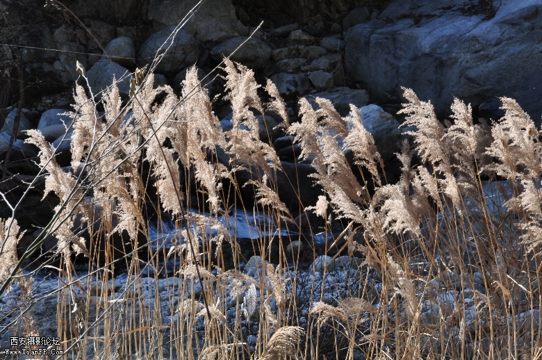 DSC_0363.JPG