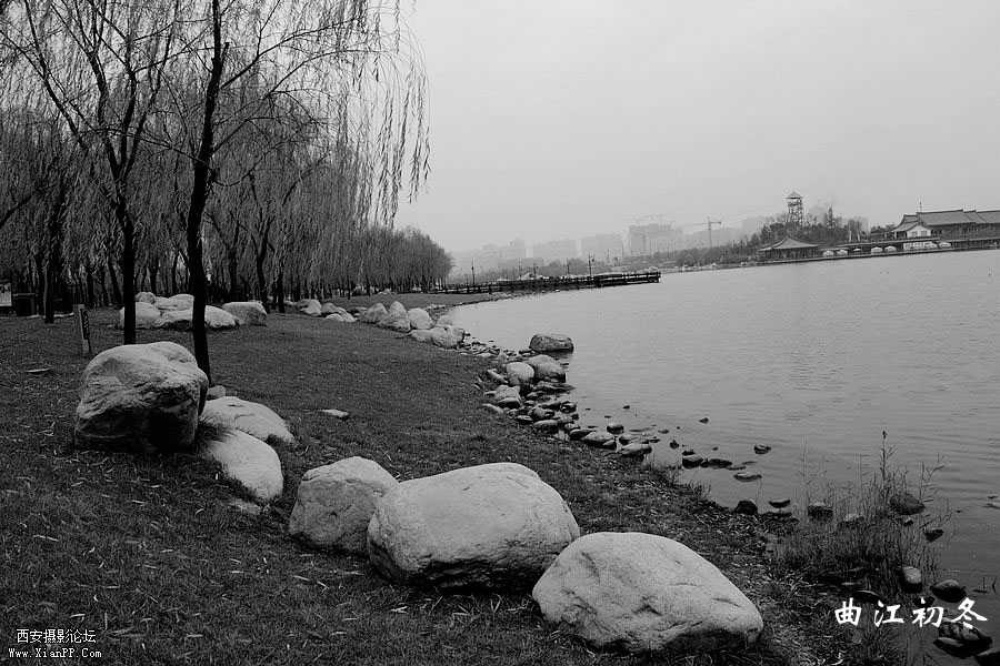 _MG_1809.jpg