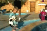 17.gif