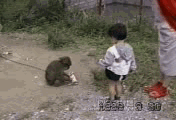 19.gif