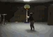 34.gif