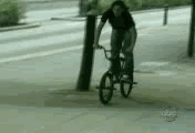 37.gif