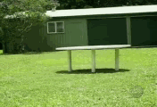 45.gif