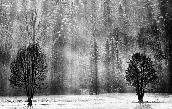 2_20101201151522142bVr.jpg