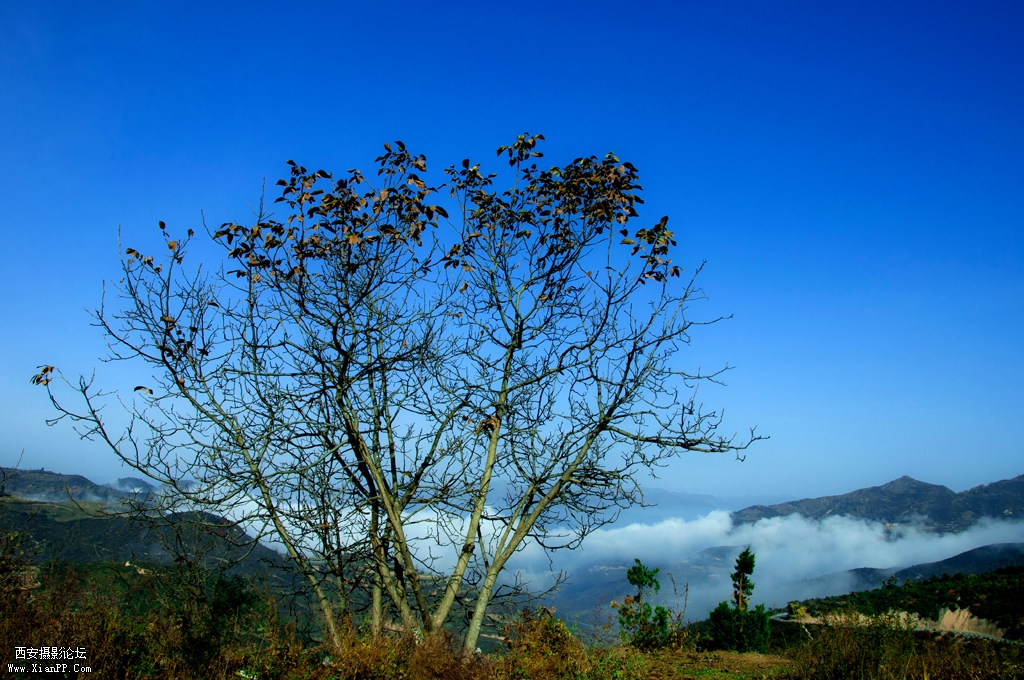 DSC-1058.jpg