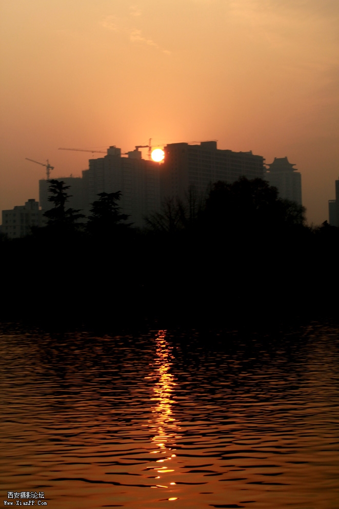IMG_7448.jpg