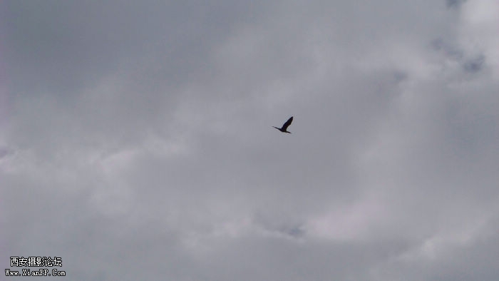100_1548.jpg