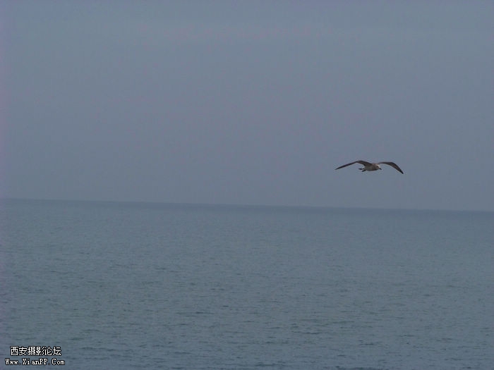 100_1560.jpg
