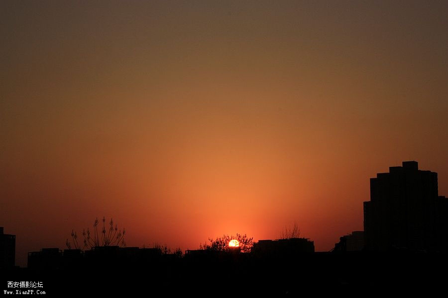 _MG_3621.jpg
