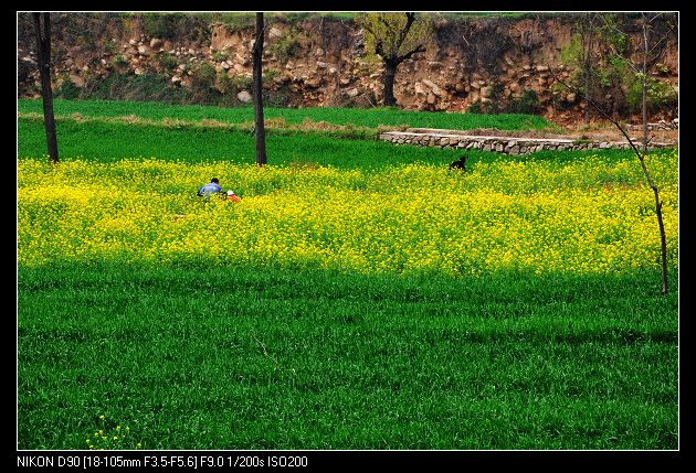 DSC_0339.jpg