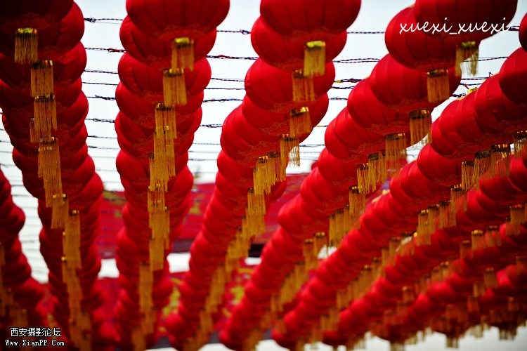 DSC_4133_conew1.jpg