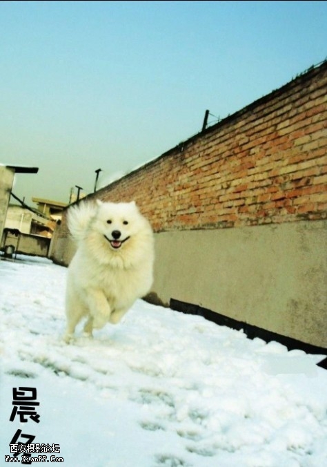 未命名1.jpg