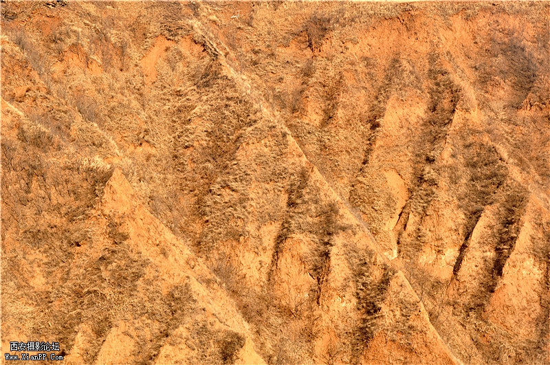 DSC_0375_副本.jpg