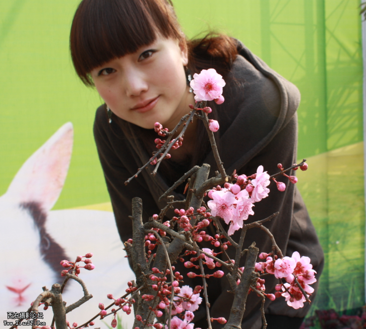 J&梅花2.png