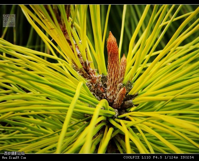 DSCN1827.jpg