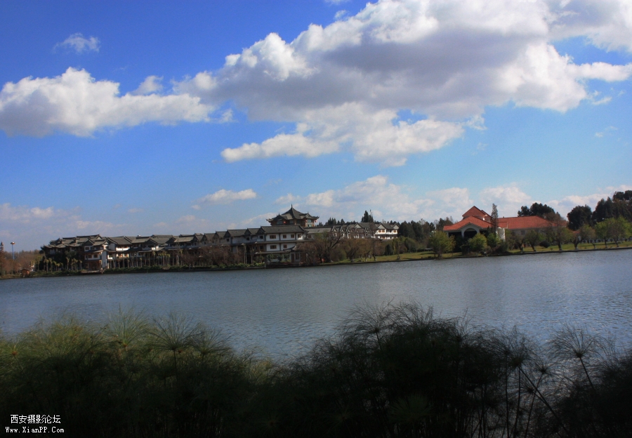 IMG_1326.jpg