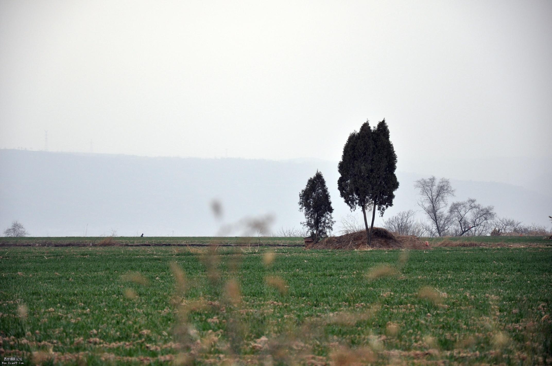 DSC_0008.JPG