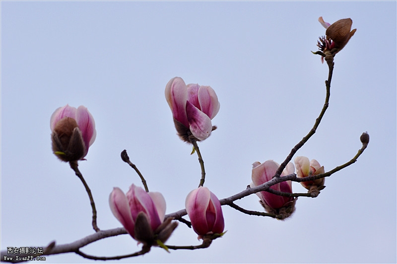 DSC_0780_副本.jpg