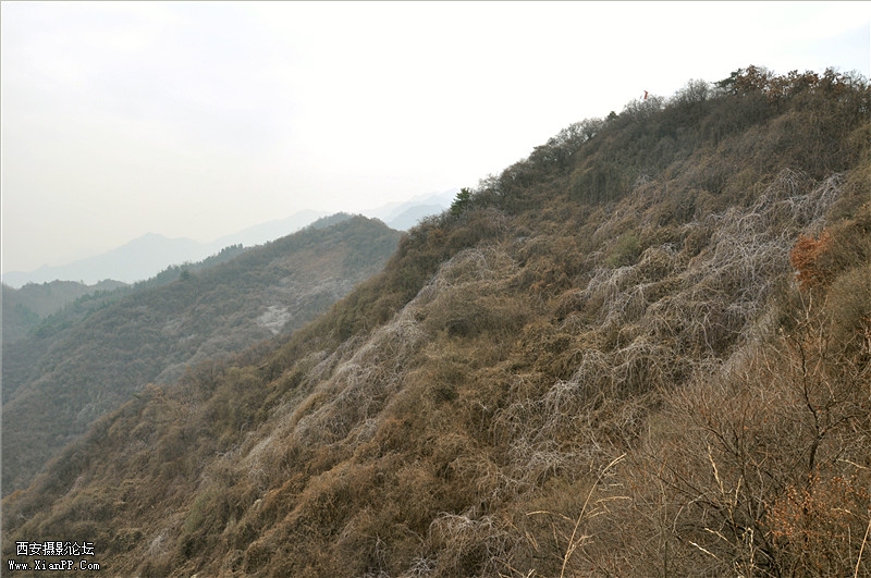 DSC_0790_副本.jpg