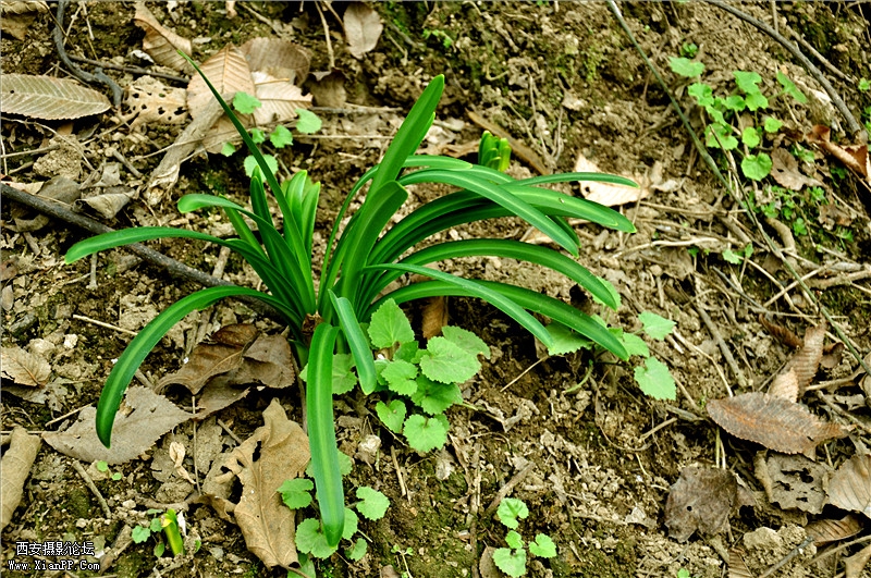 DSC_0809_副本.jpg