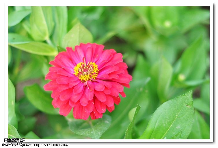 DSC_1079.jpg