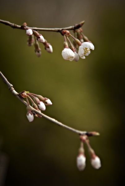 IMG_4202_调整大小.jpg
