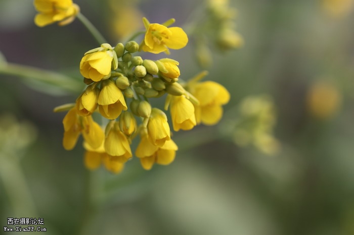 20110404万物复苏0005_调整大小.JPG