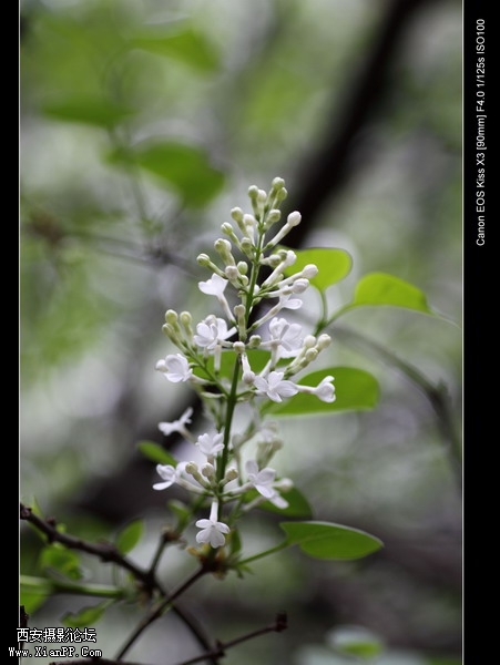 20110403翠华路办公区0001_调整大小.JPG