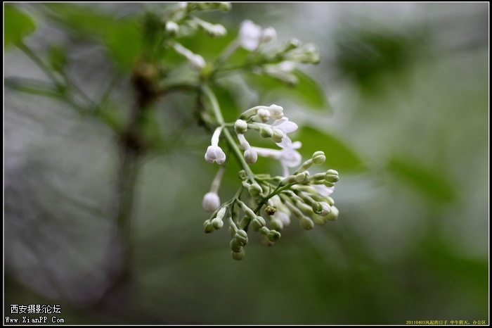 20110403翠华路办公区0004_调整大小.JPG