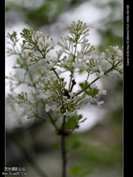 20110403翠华路办公区0006_调整大小.JPG