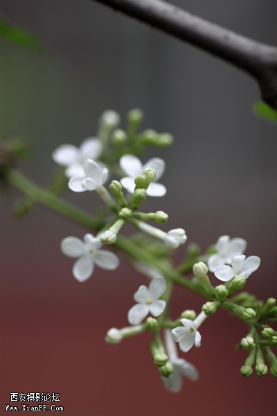 20110403翠华路办公区0009_调整大小.JPG
