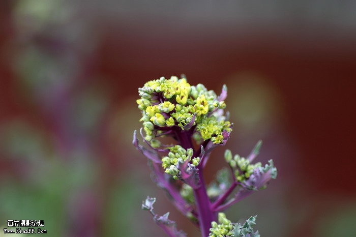 20110403翠华路办公区0012_调整大小.JPG