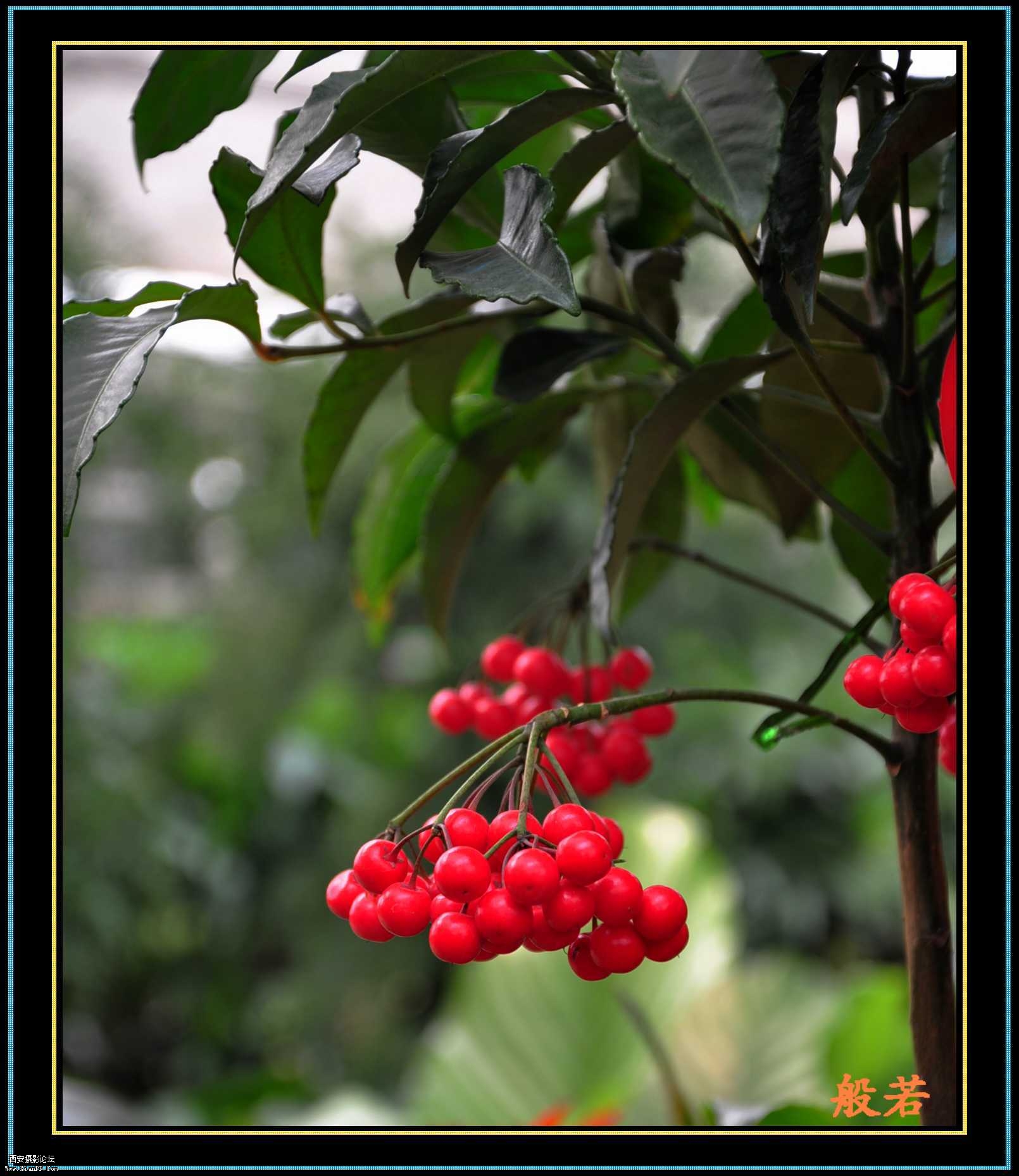 DSC_0024.jpg