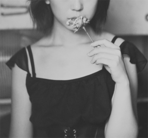 p_large_daYx_48b90000a45e2d0c.jpg