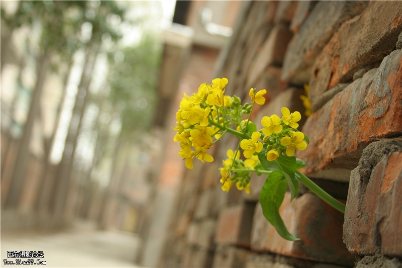 IMG_7802_副本.jpg