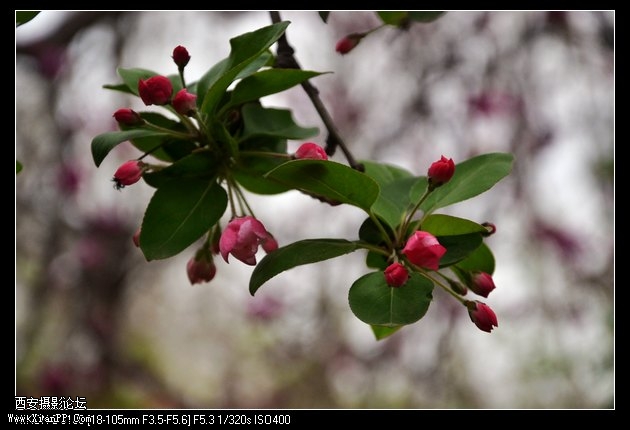 DSC_015725.jpg