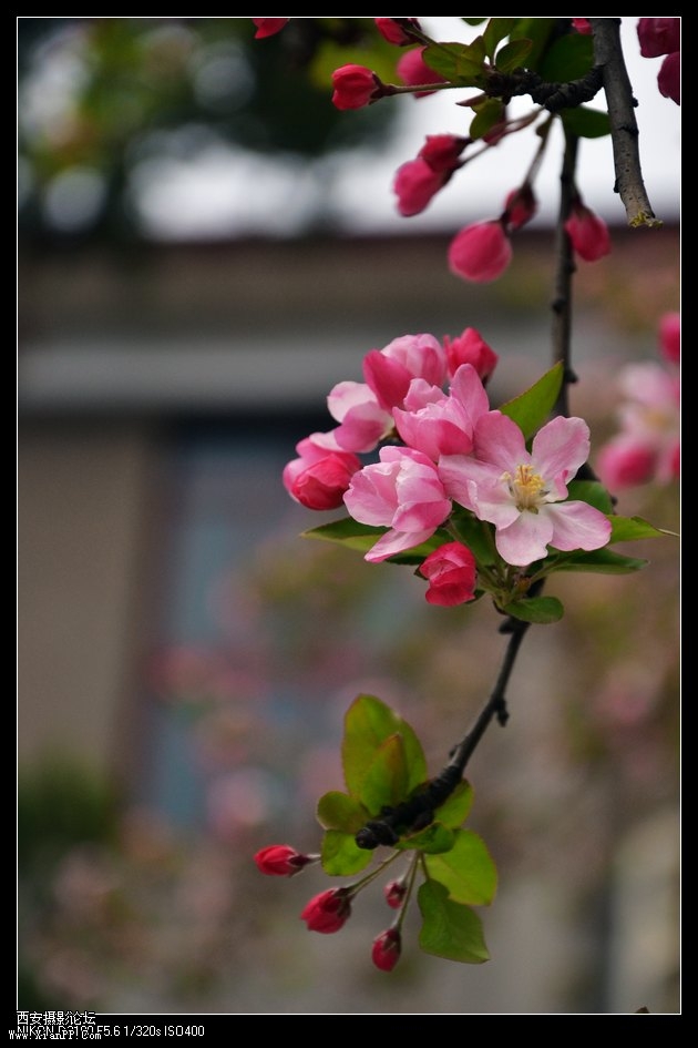 DSC_016425.jpg