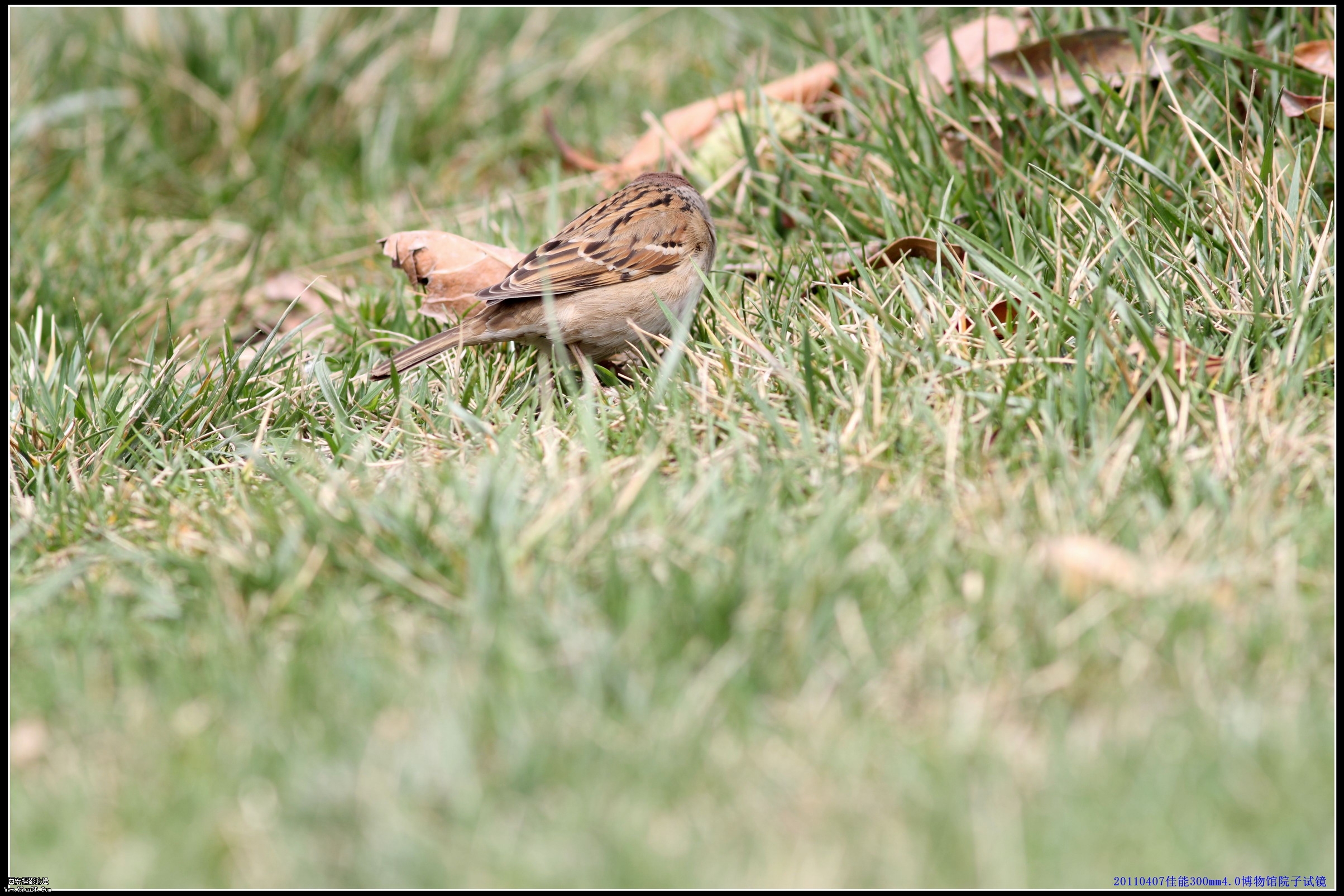 20110407试镜0018.jpg