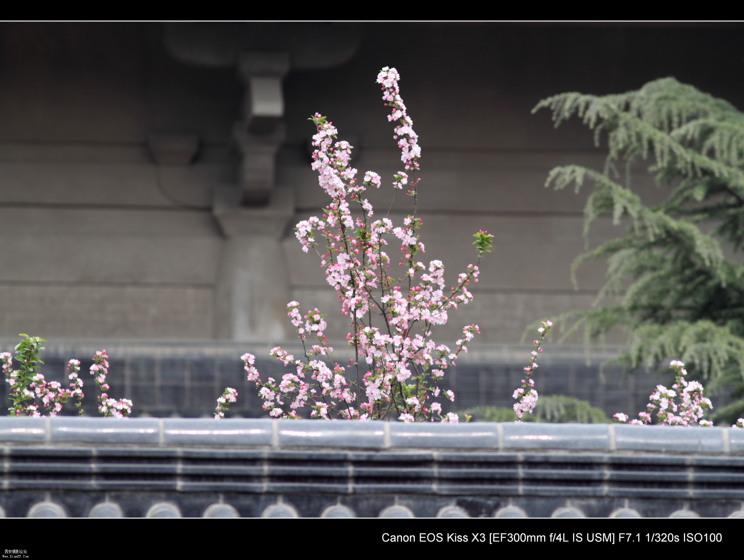 20110407试镜0026.jpg