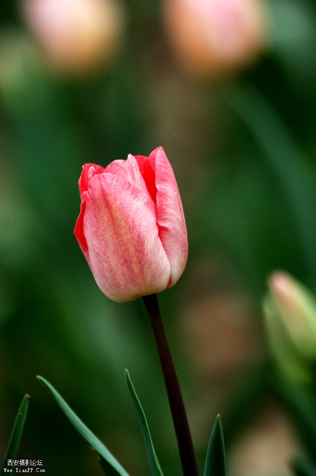 DSC_0115.JPG