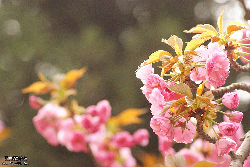 dsc09859_副本.jpg