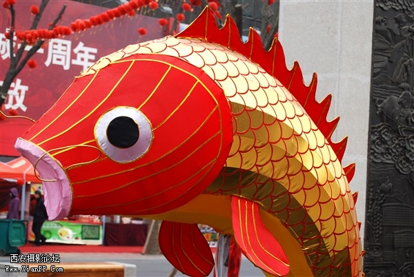 DSC_0128_副本.jpg
